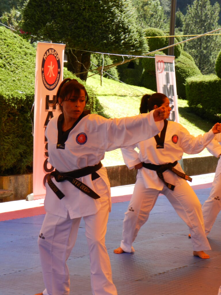 taekwondo poomsae