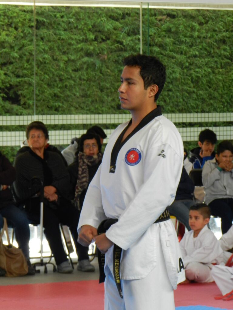 Profesor taekwondo