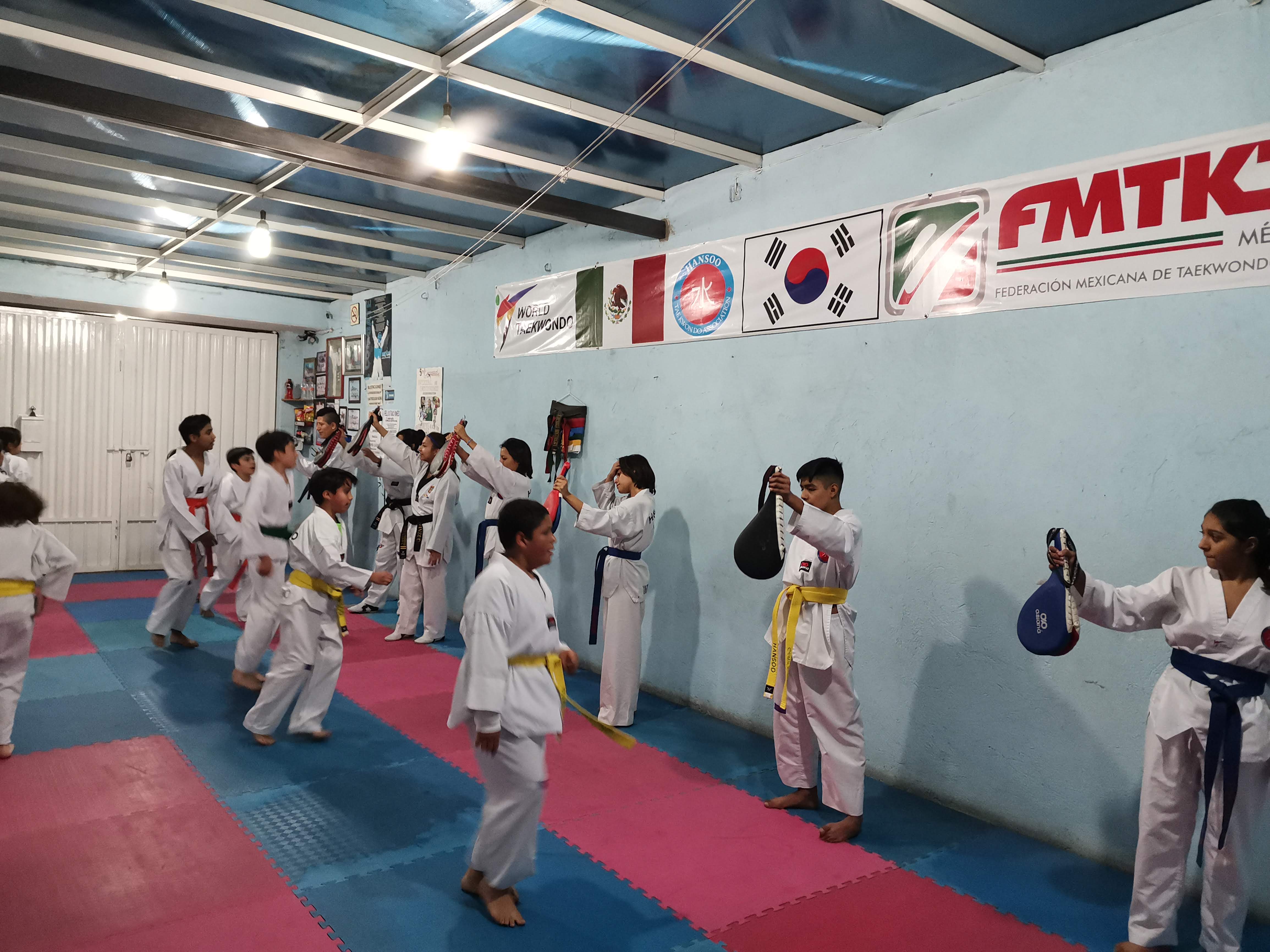 Entrenamiento taekwondo